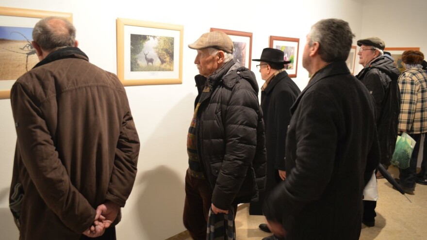 Dr. Harapin: Drvo ima osjećaje kao i čovjek, biljka osjeća kako joj se obraćaš