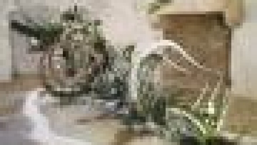 XIII. Međunarodna izložba cvijeća