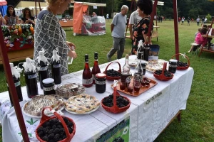 Uspešno održana izložba posvećena kupini u Stavama
