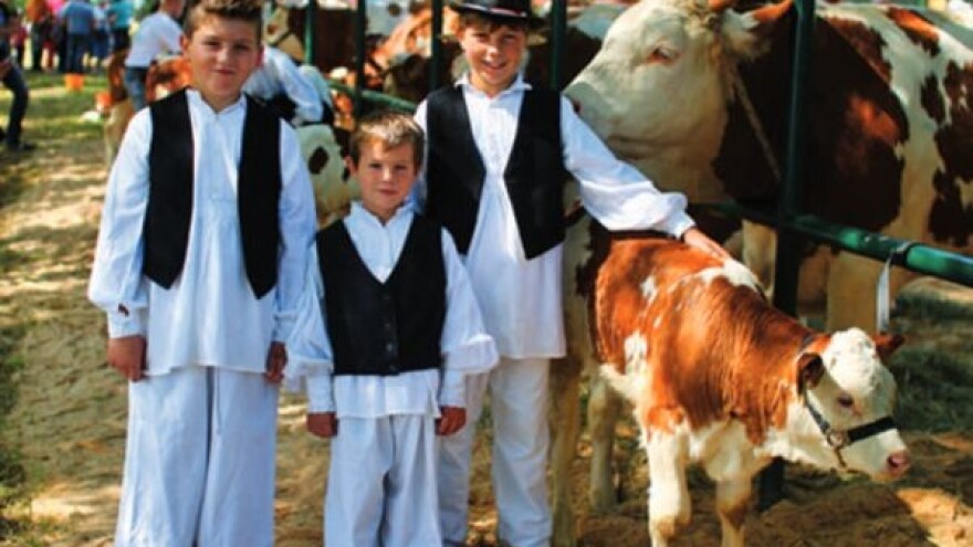 Sto posto zagorsko - izložba stoke u Zlataru