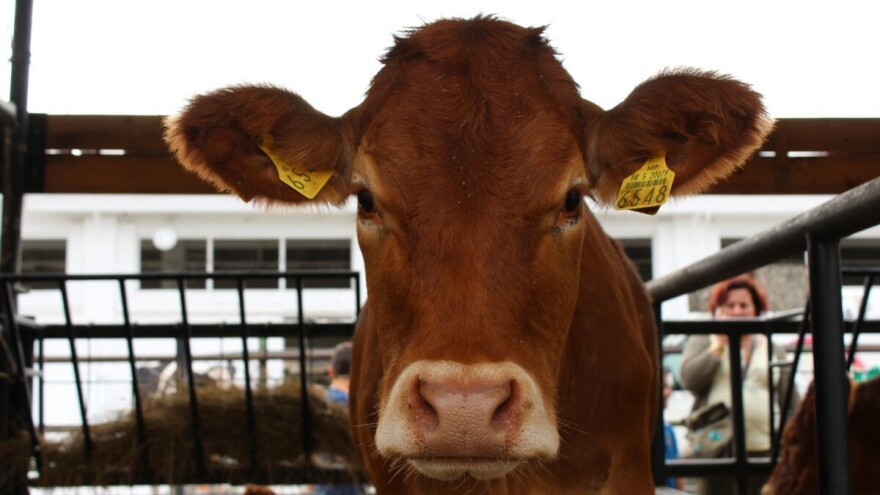 Izmjene natječaja za tip operacije 4.2.1 i 4.2.2 te 4.1.3