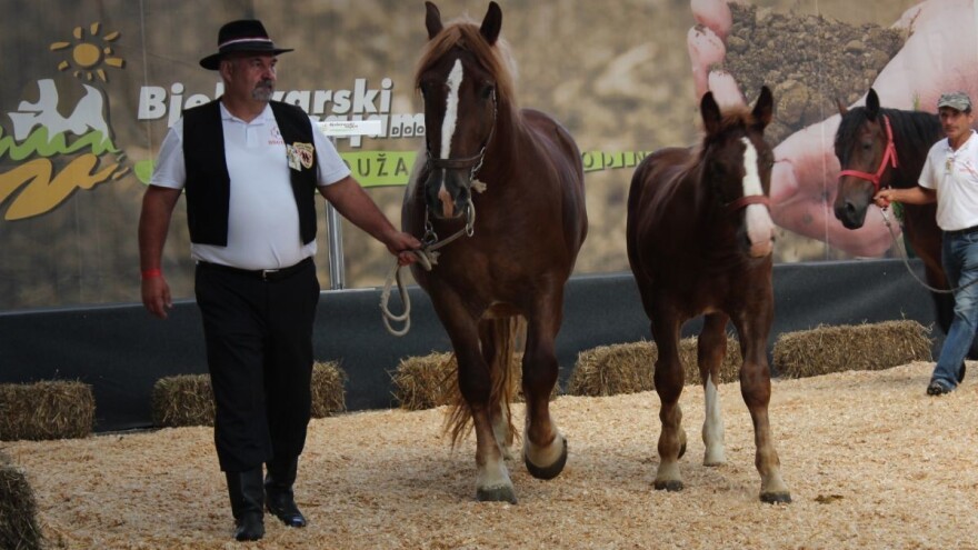 Uz izložbu stoke, u Gudovcu i sajam OPG-ova te eko proizvođača