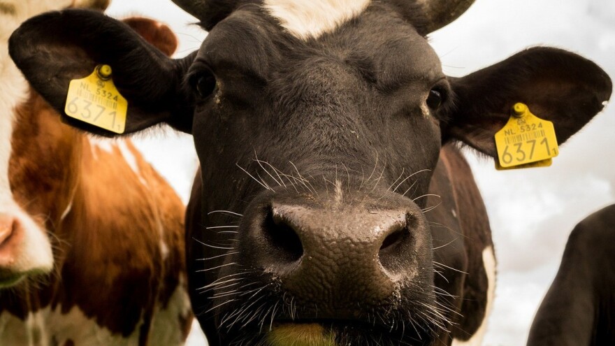 Objavljene izmjene Natječaja za podmjeru 4.1.