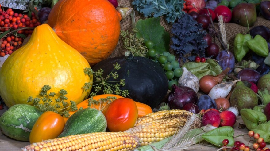 Druge izmjene Natječaja za provedbu podmjere 4.1. za sektor voća i povrća te stočarstva i peradarstva