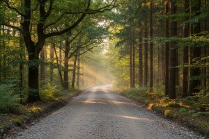 Izmjene Pravilnika u podmjeri 4.3