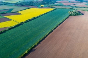 HPK i HUMP jednoglasno nadležnima: Spriječite potencijalnu eskalaciju sukoba
