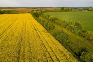 Mogu li klimatske promjene uništiti poljoprivredu u Slavoniji?