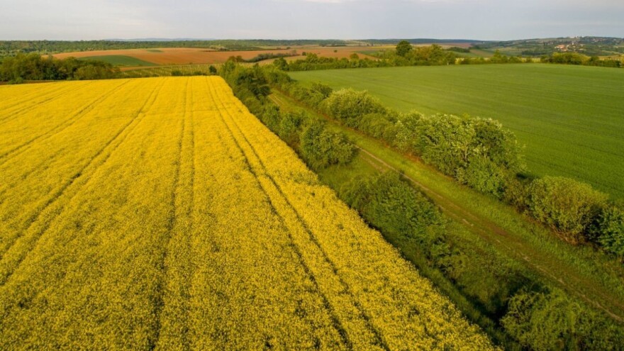 Mogu li klimatske promjene uništiti poljoprivredu u Slavoniji?