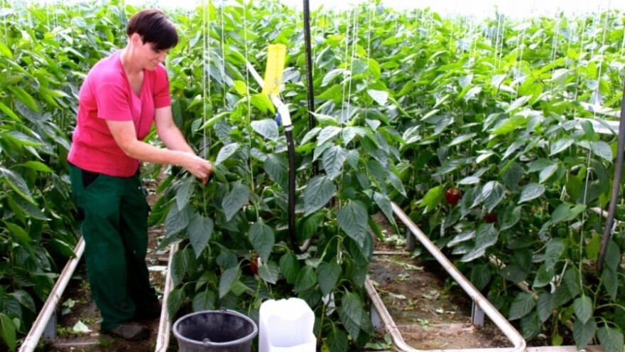 Korisnici Mjere 10 i 11, prijavite se na izobrazbu!