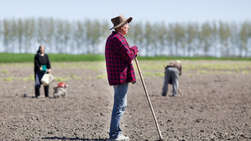 Šta je izolacija, samoizolacija, a šta karantin - pojmovi vezani za koronavirus