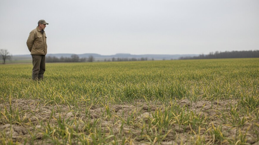 Izostanak padalina i niskih temperatura u siječnju