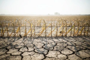 Izrađen nacrt Zakona u oblasti klimatskih promena