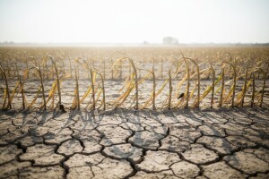 Izrađen nacrt Zakona u oblasti klimatskih promena