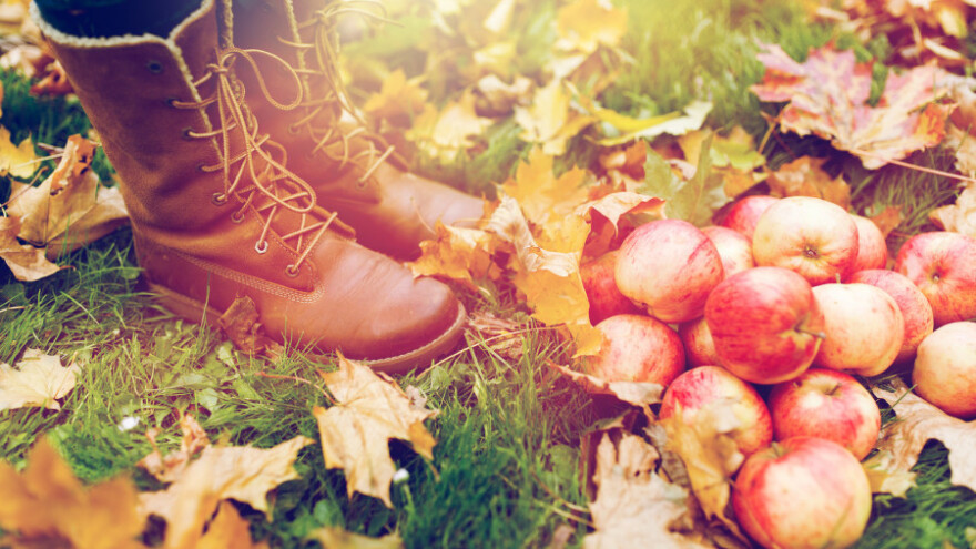 Provjerite račun u ponedjeljak, kreće isplata 922 milijuna kuna!