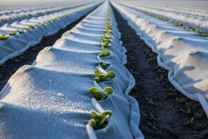 Izravno prekrivanje povrća polimernim materijalima