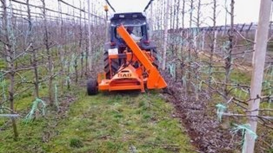 Podrezivanje korijena za smanjenje bujnosti