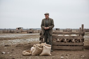 Izumire li tradicija održavanja stočnih sajmova?