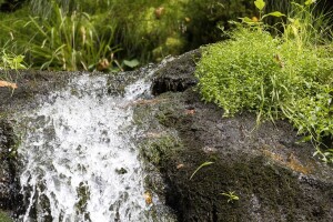 Bunari, Korita i Begovača - izvori koje će spasiti od devastacije
