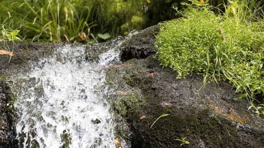 Bunari, Korita i Begovača - izvori koje će spasiti od devastacije