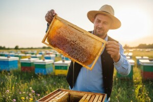 Izvori finansiranja pčelara u Srbiji