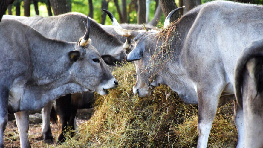 Objavljen Natječaj za podmjeru 10.2, na raspolaganju je 10 milijuna kuna