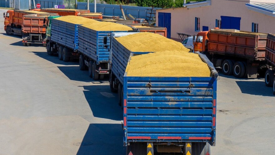 Raste cijena pšenice - razlog ruski porez na izvoz?