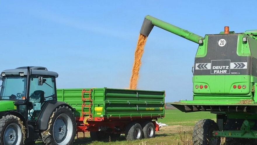 Izvoz pšenice iz EU dosegnuo 7,84 milijuna tona: Cijene padaju zbog suše i politike