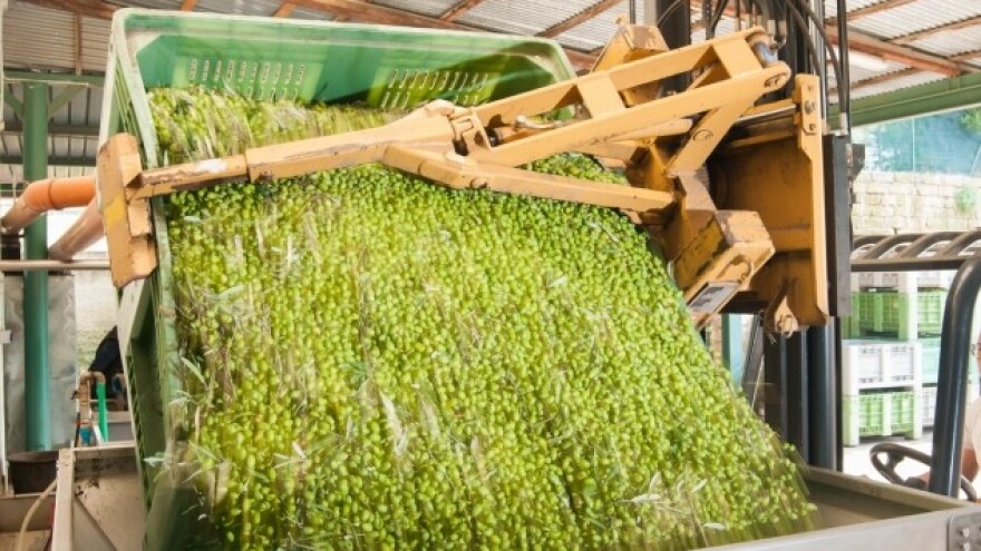 Porast izvoza u skladu sa sezonskim trendovima