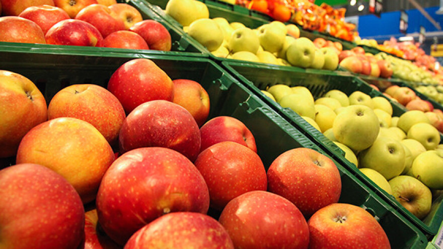 Povećan udeo gotovih proizvoda u izvozu