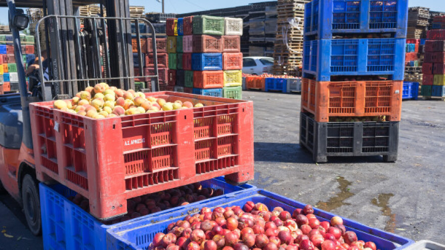 Rešenjem agro otpada do lakšeg izvoza hrane