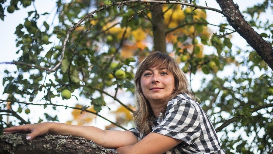 Indija sretno odredište i za hrvatske jabuke?