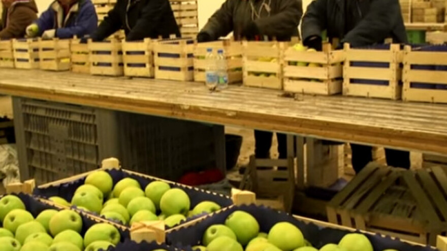 Trendovi diktiraju konkurentnost na tržištu