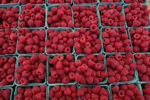 Povećanje izvoza maline, kornišona i goveđeg mesa