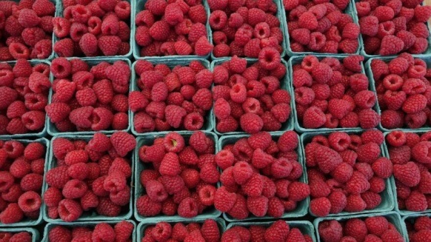 Povećanje izvoza maline, kornišona i goveđeg mesa