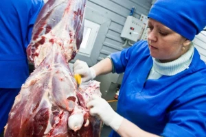 BiH će tražiti veću kvotu za izvoz mesa