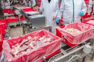 Izvoz mesa u Tursku - posao za 500 gazdinstava