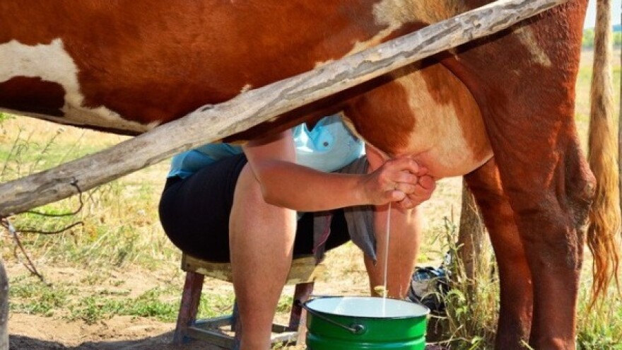 Mliječni proizvodi mogu preko EU teritorija