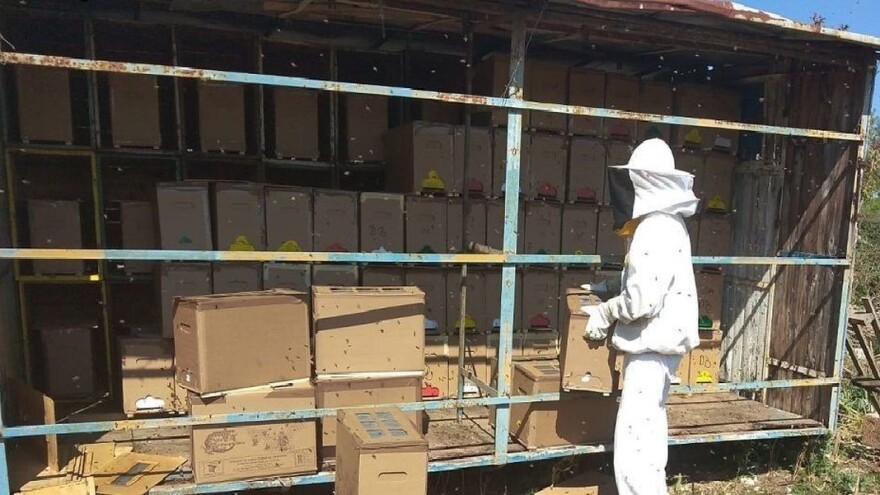 Krste Bukvić s partnerima i u jeku pandemije izvozio pčelinje zajednice u Francusku