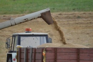 Ukidaju se poticaji na izvoz agro proizvoda