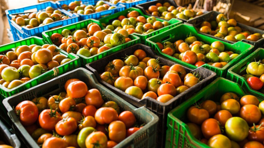 Najviše povrća izvozi se u Hrvatsku