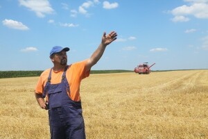 Jak izvoz pšenice ohrabrio sjetvu ozimih usjeva