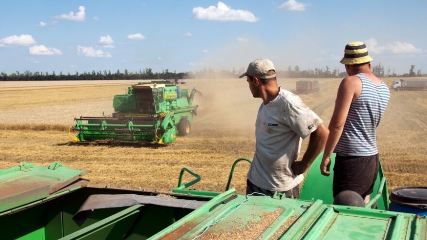 Napad Rusije na Ukrajinu uzrokovao snažan rast cene pšenice