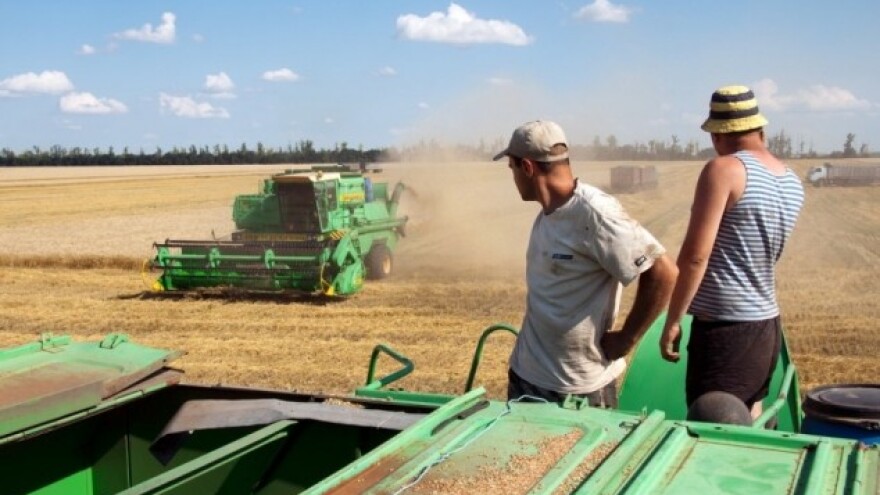 Hoće li Ukrajina plaćati izvoz domaće pšenice?
