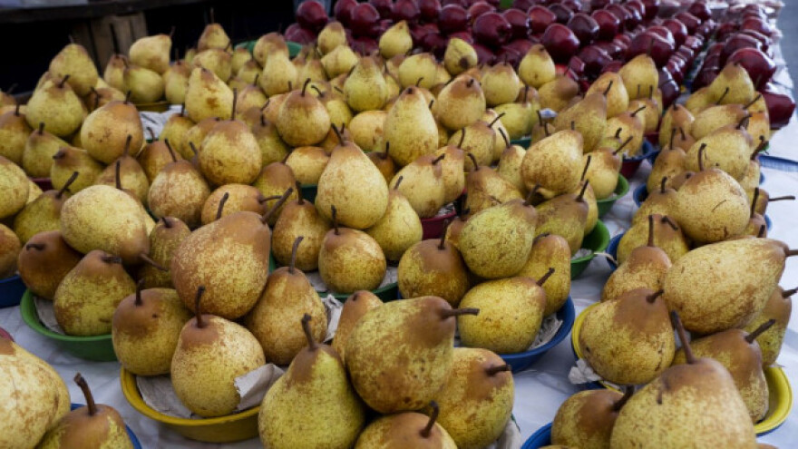 Obećavajući rezultati izvoza voća u Rusiju