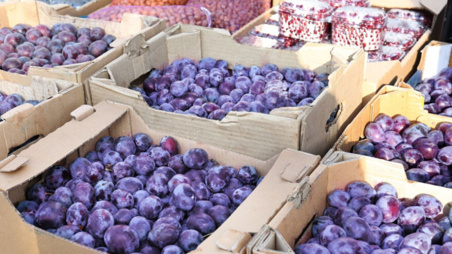 Šljive i maline izvozimo u Njemačku, jabuke u Rusiju