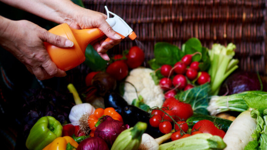 Srpski izvoz u Rusiju opao za petinu