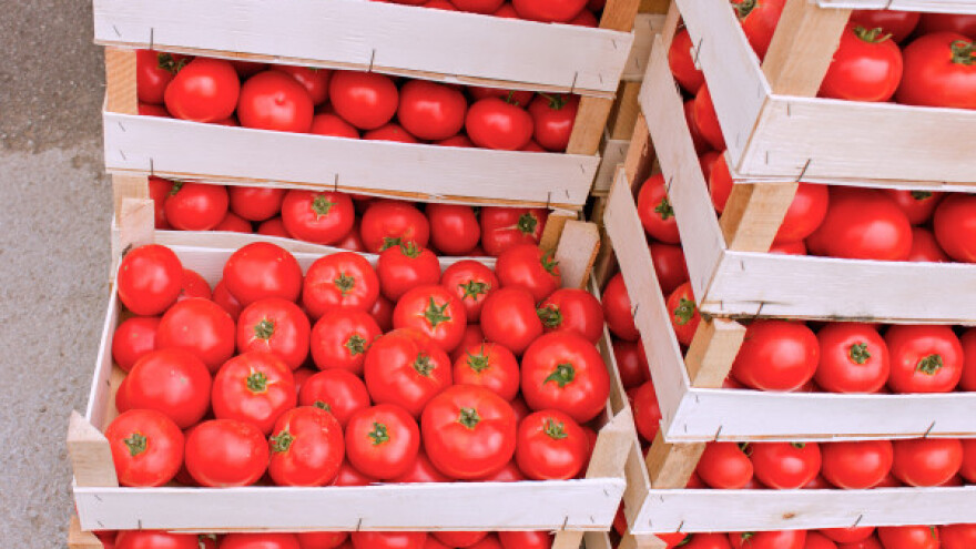 Srbija ima šansu da poveća izvoz u Rusiju