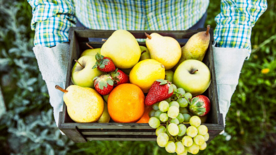 Izvezli smo voća i povrća za 45 miliona eura