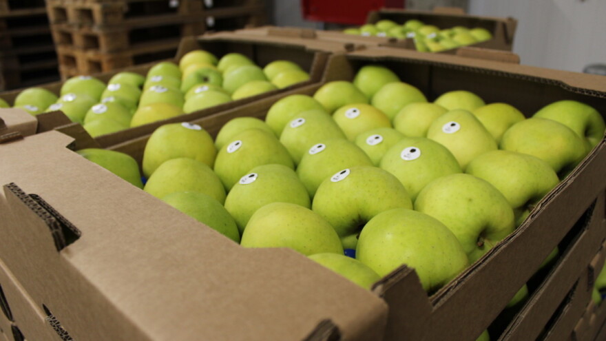 Cene proizvođača proizvoda poljoprivrede i ribarstva u julu povećane za 30,7 odsto