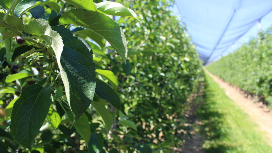 Mjere 4 i 9: Objavljena tri natječaja vrijednosti 280 milijuna kuna